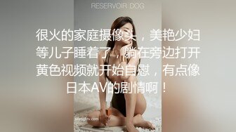 商场女厕全景偷拍高跟制服少妇肥美的大鲍鱼