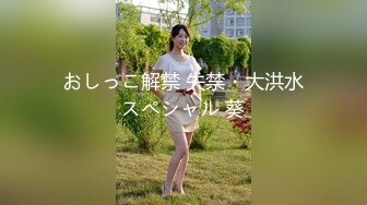 おしっこ解禁 失禁・大洪水スペシャル 葵