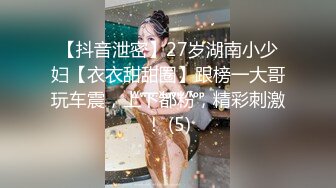 【抖音泄密】27岁湖南小少妇【衣衣甜甜圈】跟榜一大哥玩车震，上下都粉，精彩刺激！ (5)