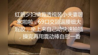 红唇少妇情趣透视装小夫妻居家啪啪，69口交舔逼腰细大屁股，坐上来自己动快速抽插，操完再用震动棒自慰一番