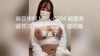 麻豆传媒 MDL-0004 暗黑圣诞节 交换伴侣同学会 潘雨曦 夏晴子