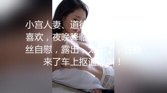 小宫人妻、道德败坏，但是我喜欢，夜晚降临，商场跳蛋黑丝自慰，露出，太牛了，性瘾来了车上抠逼淫叫！