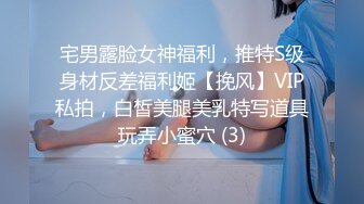 宅男露脸女神福利，推特S级身材反差福利姬【挽风】VIP私拍，白皙美腿美乳特写道具玩弄小蜜穴 (3)