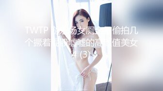 TWTP 游乐场女厕全景偷拍几个撅着屁股嘘嘘的高颜值美女4 (3)