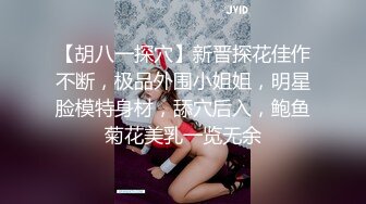 【胡八一探穴】新晋探花佳作不断，极品外围小姐姐，明星脸模特身材，舔穴后入，鲍鱼菊花美乳一览无余