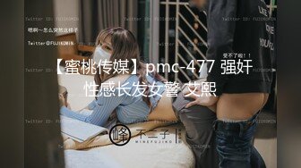 【蜜桃传媒】pmc-477 强奸性感长发女警 艾熙