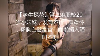 【老牛探花】第二炮职校20岁小妹妹，发育不错，D罩杯，粉胸白臀高耸，啪啪插入骚叫不断