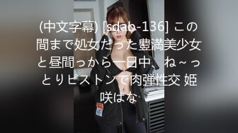 (中文字幕) [sdab-136] この間まで処女だった豊満美少女と昼間っから一日中、ね～っとりピストンで肉弾性交 姫咲はな