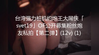 台湾强力桩机约炮王大屌侠「svet19」OF公开募集粉丝炮友私拍【第二弹】(12v) (1)