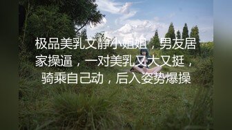 极品美乳文静小姐姐，男友居家操逼，一对美乳又大又挺，骑乘自己动，后入姿势爆操