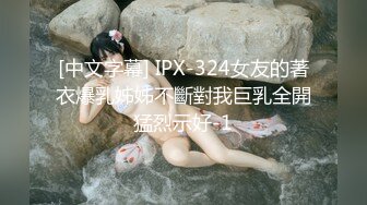 [中文字幕] IPX-324女友的著衣爆乳姊姊不斷對我巨乳全開猛烈示好-1