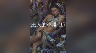 磨人的小喵 (1)