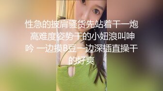 (中文字幕) [PPPD-876] 第一次去女朋友家的我被她的巨乳姐姐诱惑出轨无套内射