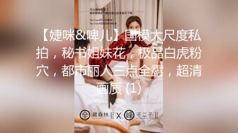 【婕咪&啤儿】国模大尺度私拍，秘书姐妹花，极品白虎粉穴，都市丽人三点全露，超清画质 (1)