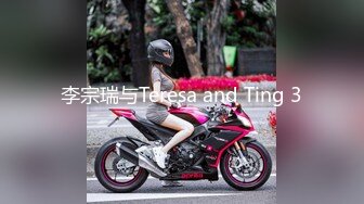 李宗瑞与Teresa and Ting 3