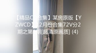 【精品CD合集】某房原版【YZWCD】12月份合集72V分2期之第1期[超清原画质] (4)