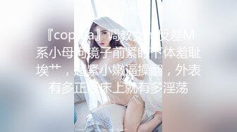 【91龍十三】极品风骚小少妇，眉眼之间全是风情，经典探花场景，沙发床上来回啪啪展示，撸管佳作不可错过