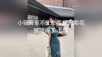 小骚狗忍不住发骚,极品菊花被捅废了 上集