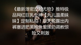 《最新泄密反差尤物》推特极品网红巨乳女神【九儿温柔妹妹】定制私拍！摩天轮露出内裤塞进肥美鲍鱼里揉奶调教惊险又刺激