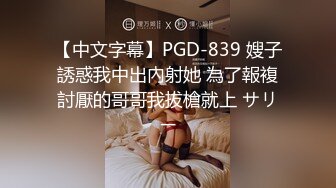 【中文字幕】PGD-839 嫂子誘惑我中出內射她 為了報複討厭的哥哥我拔槍就上 サリー