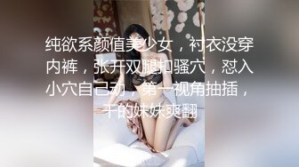 纯欲系颜值美少女，衬衣没穿内裤，张开双腿扣骚穴，怼入小穴自己动，第一视角抽插，干的妹妹爽翻