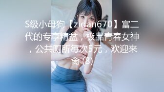 S级小母狗【zidan670】富二代的专享精盆，极品青春女神，公共厕所每次5元，欢迎来肏 (8)