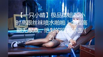 【一只小晴】极品御姐20小时高跟丝袜喷水啪啪！全程高能无尿点，绝对的视觉冲击 (2)