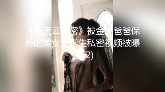 2024新维拉舞团顶流气质长腿酒窝女神【阿紫】加密特超级版，透奶骆驼齿情趣搔首弄姿劲曲摇摆挑逗 (3)