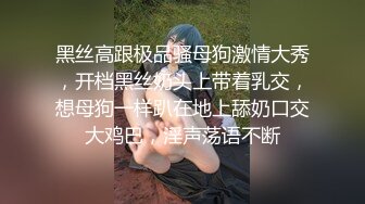 黑丝高跟极品骚母狗激情大秀，开档黑丝奶头上带着乳交，想母狗一样趴在地上舔奶口交大鸡巴，淫声荡语不断