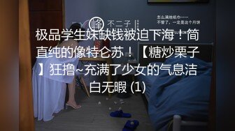 极品学生妹缺钱被迫下海！简直纯的像特仑苏！【糖炒栗子】狂撸~充满了少女的气息洁白无暇 (1)