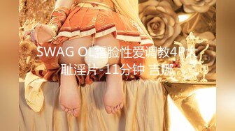 SWAG OL露脸性爱调教4P大耻淫片-11分钟 吉娜