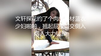 文轩探花约了个肉肉身材蓝衣少妇啪啪，翘起屁股口交侧入后入大力猛操