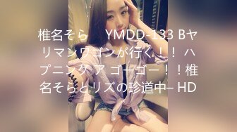 椎名そら ⨯ YMDD-133 Bヤリマンワゴンが行く！！ ハプニング ア ゴーゴー！！椎名そらとリズの珍道中– HD