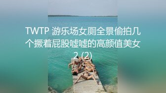 TWTP 游乐场女厕全景偷拍几个撅着屁股嘘嘘的高颜值美女2 (2)