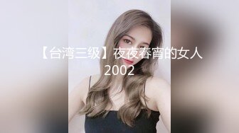 【台湾三级】夜夜春宵的女人2002