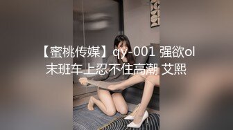 【蜜桃传媒】qy-001 强欲ol末班车上忍不住高潮 艾熙