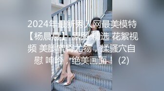 2024年最新秀人网最美模特【杨晨晨】 原图 精选 花絮视频 美腿蜜臀尤物，揉骚穴自慰 呻吟，绝美画面！ (2)