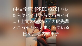 (中文字幕) [PRED-326] バレたらヤバイ！から気持ちイイ…！上司の彼女のデカ尻先輩とこっそりハメまくっている日々。 堀内未果子