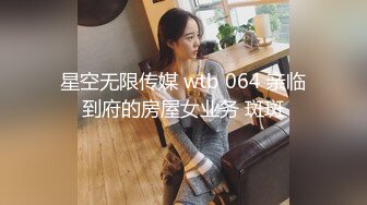 星空无限传媒 wtb 064 亲临到府的房屋女业务 斑斑