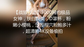 【战狼行动】3000网约极品女神，肤白貌美，D罩杯，粉嫩小樱桃，沙发掰穴粉鲍多汁，超清晰4K设备偷拍