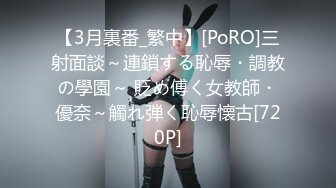 【3月裏番_繁中】[PoRO]三射面談～連鎖する恥辱・調教の學園～ 貶め傅く女教師・優奈～觸れ弾く恥辱懐古[720P]