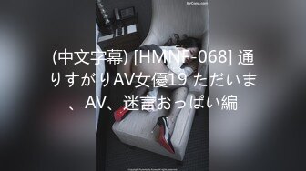 (中文字幕) [HMNF-068] 通りすがりAV女優19 ただいま、AV、迷言おっぱい編