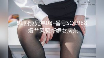 91四驱兄弟08-番号SOE988-爆艹风骚新婚女房东