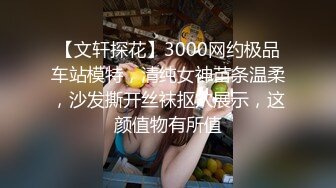 【文轩探花】3000网约极品车站模特，清纯女神苗条温柔，沙发撕开丝袜抠穴展示，这颜值物有所值