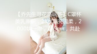 【乔先生寻花高端茶】C罩杯美乳兼职，23岁漂亮温柔，2000块一炮，165cm，共赴高潮