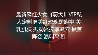 最新网红少女『恶犬』VIP私人定制唯美红玫瑰黑旗袍 美乳肌肤 振动器按摩嫩穴 搔首弄姿 浪叫高潮 