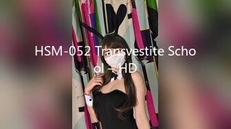 HSM-052 Transvestite School – HD