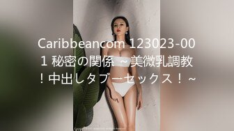 Caribbeancom 123023-001 秘密の関係 ～美微乳調教！中出しタブーセックス！～