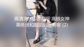 高清无水印珍藏版 高铁女神乘务员和靓丽的女乘客 (2)